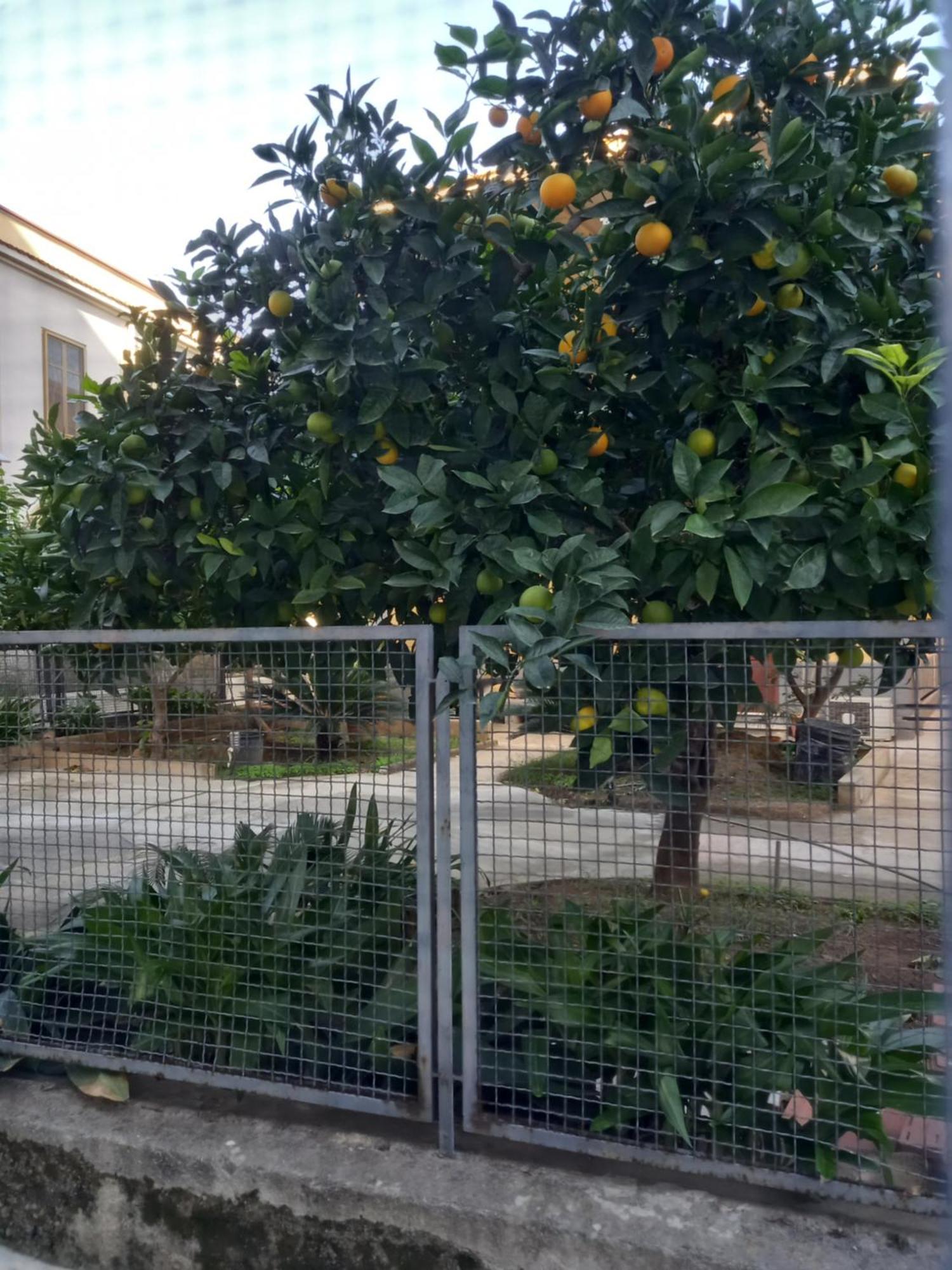 Momenti E Monumenti Villa Palermo Kültér fotó